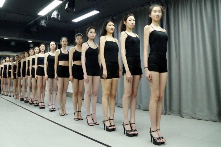 中国职业模特大赛沈阳选拔赛首次海选结束