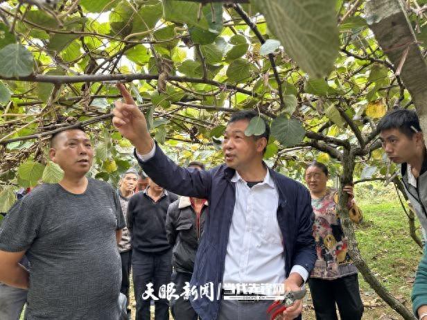 贵阳幼高专邀请农技专家为帮扶村群众开展猕猴桃种植培训